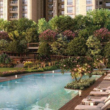 Amenity 3_374x374.jpg
